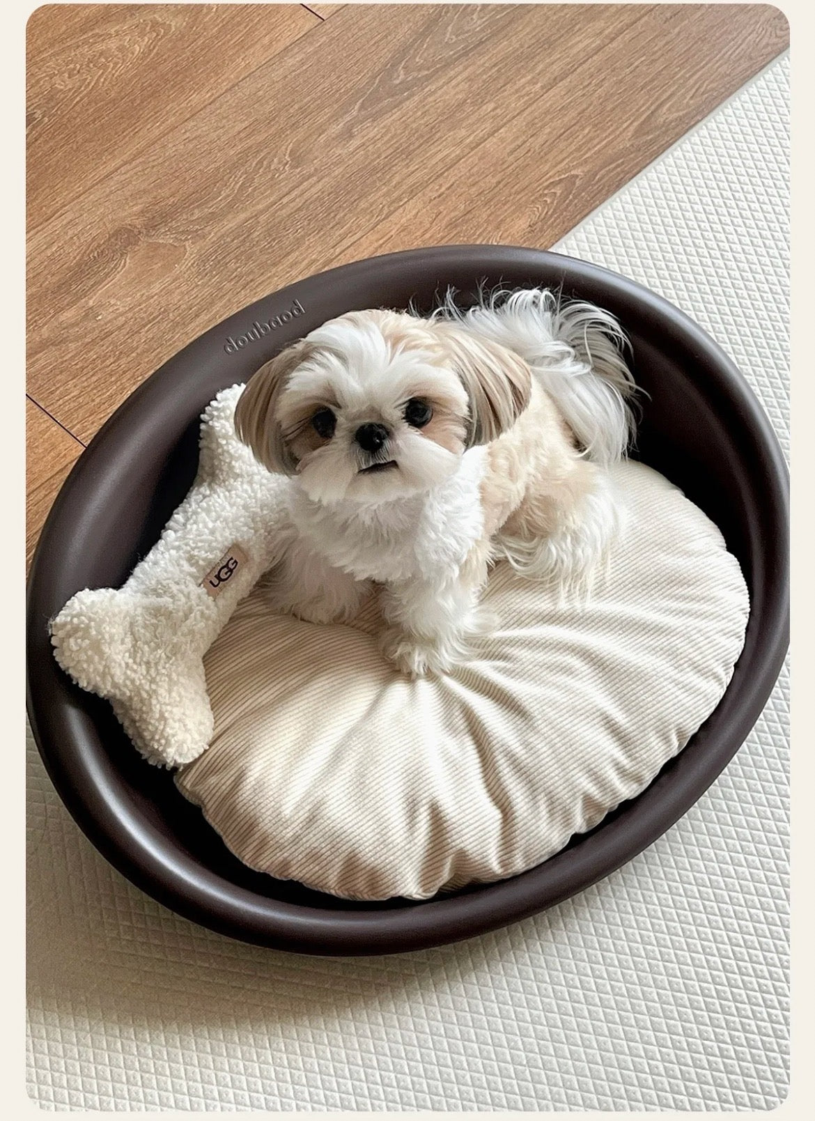 PawsCube Clam Shell Pet Bed – Orthopedic Low-Entry Design for Small Dogs, Washable & Non-Slip Base